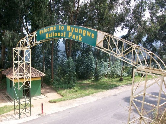 Park fees in Nyungwe national park